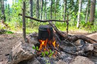 vecteezy_campfire-in-the-forest-where-food-is-cooked-in-a-pot_7237824_43